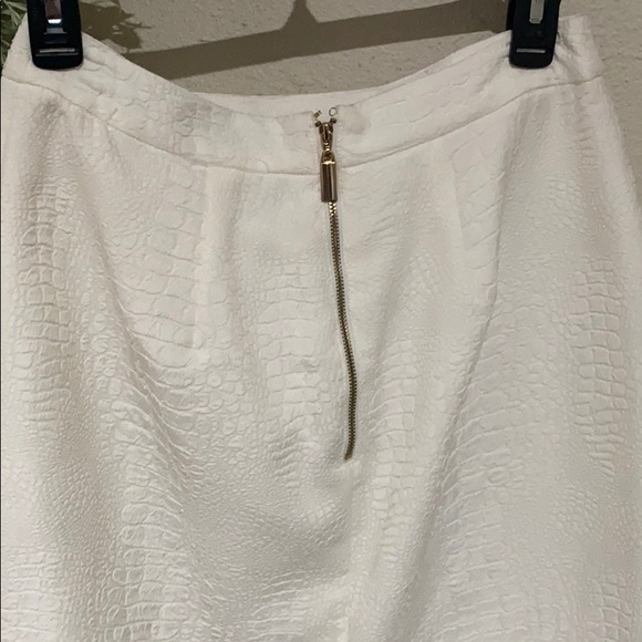 Jennifer Lopez pencil skirt - Picture 4 of 4